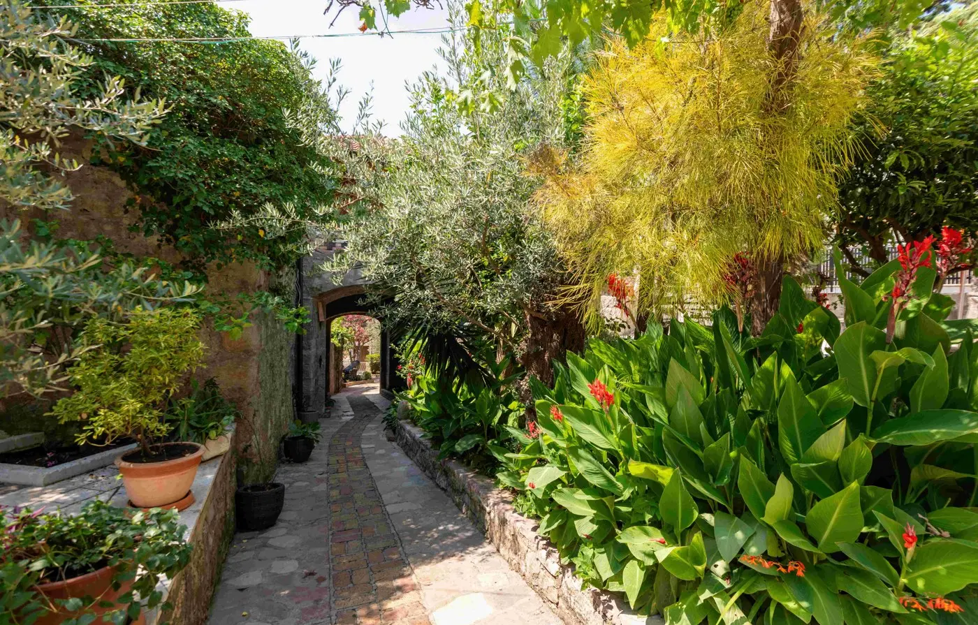 Mediterranean nature — cypress, pine and olive trees at Forte Rose